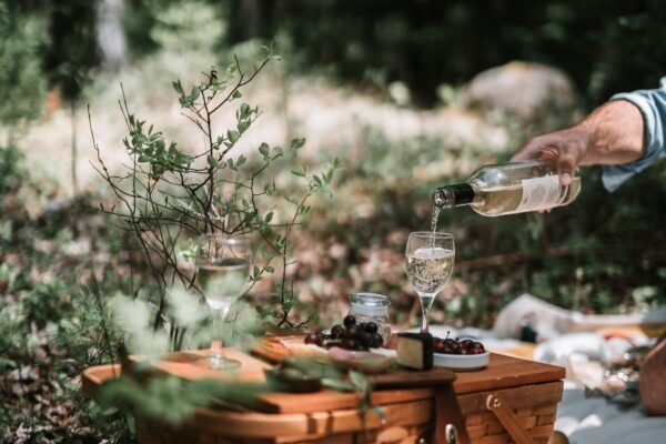Vindulge: A Wine Food Travel and Lifestyle Journey Vindulge: A Wine Food Travel and Lifestyle Journey