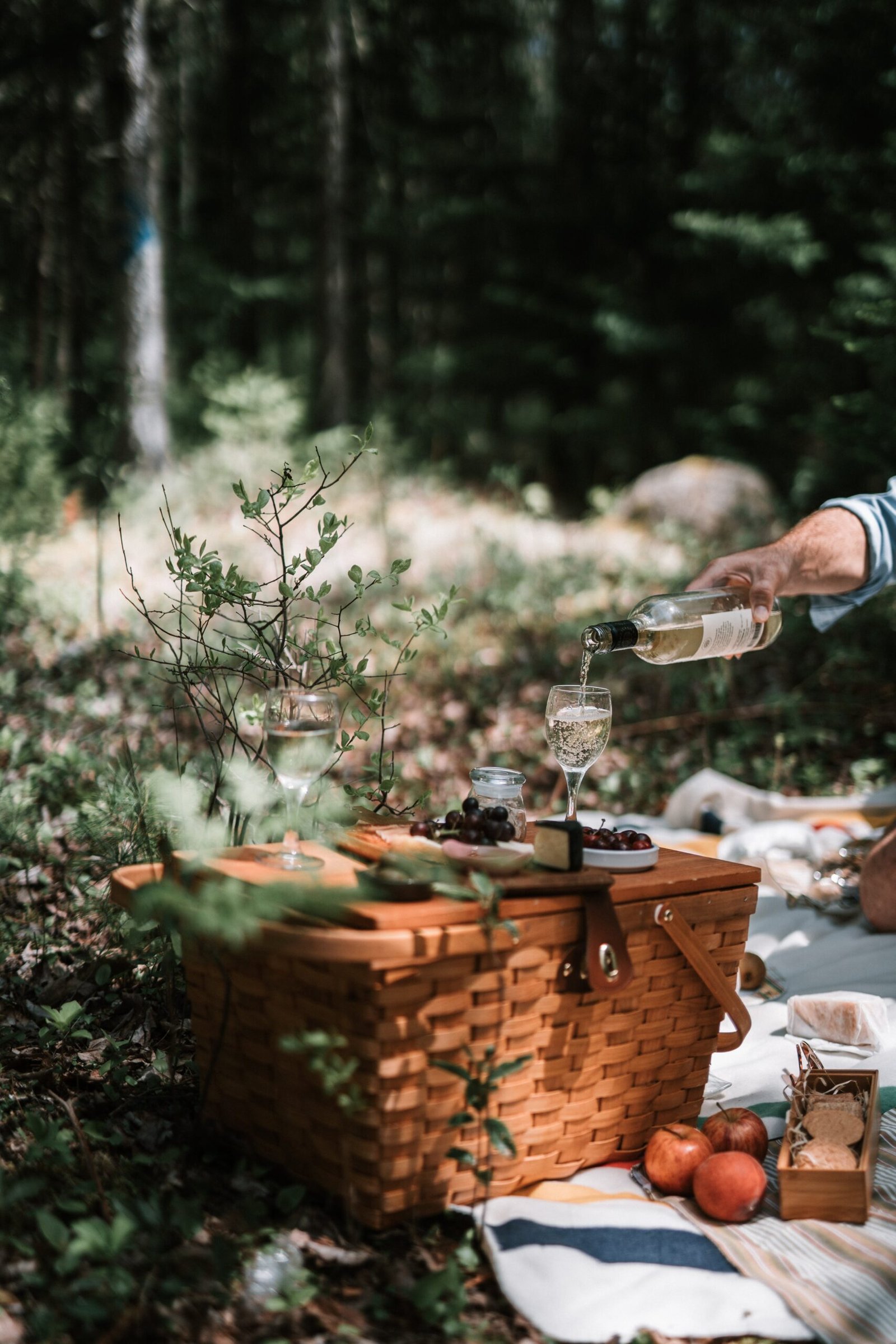 Vindulge: A Wine Food Travel and Lifestyle Journey